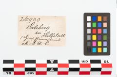 Etikett zu Knochenschäftung (NHMW-PRAE-026900)